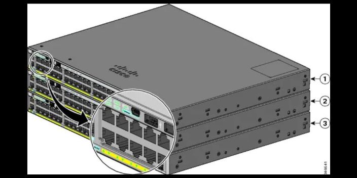瑞博博彩 C1000-48P-4G交换机Cisco,交换机
